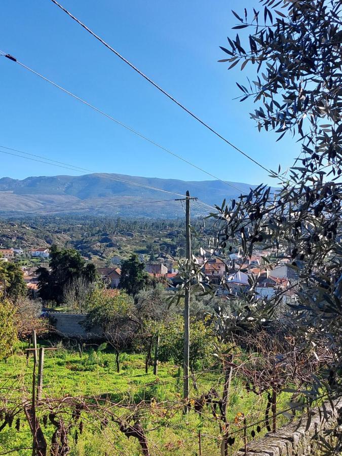 Casa Das Cortes - Serra Da Estrela Appartement Gouveia  Buitenkant foto