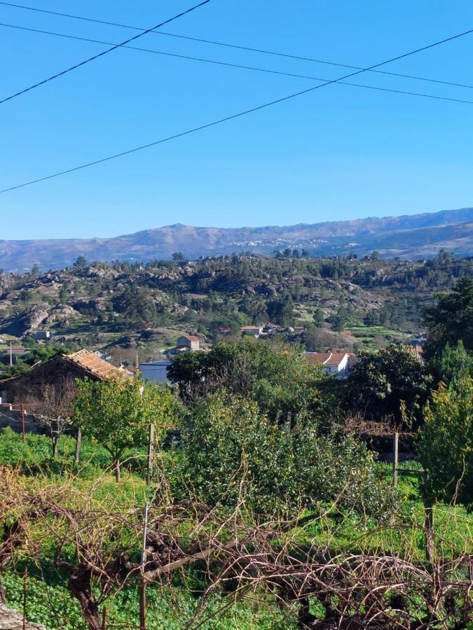 Casa Das Cortes - Serra Da Estrela Appartement Gouveia  Buitenkant foto