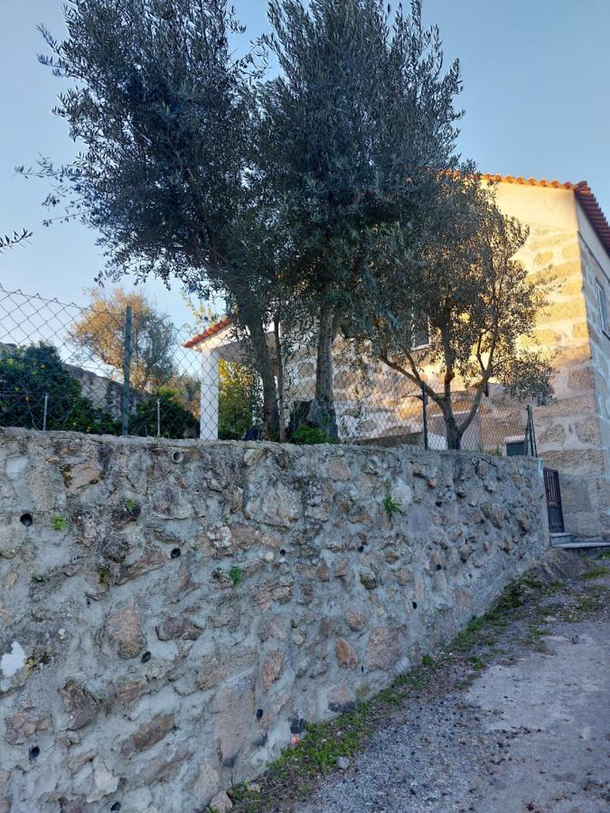 Casa Das Cortes - Serra Da Estrela Appartement Gouveia  Buitenkant foto